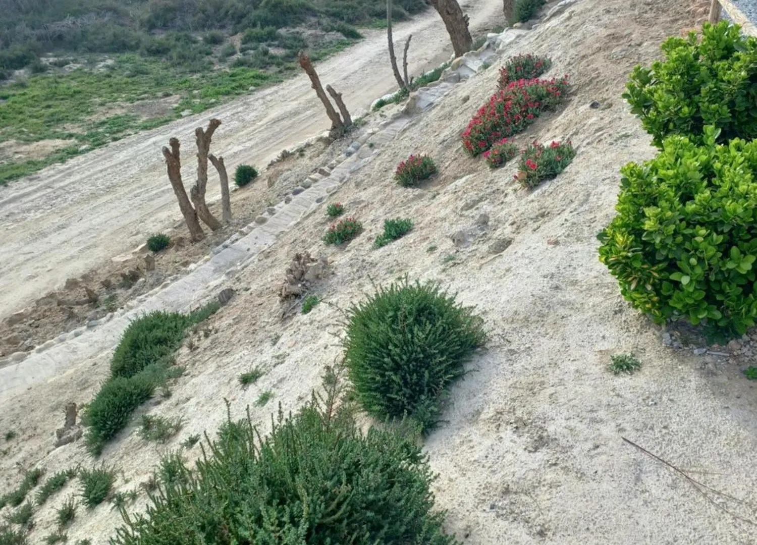 Cuevas Azul Villa Baza